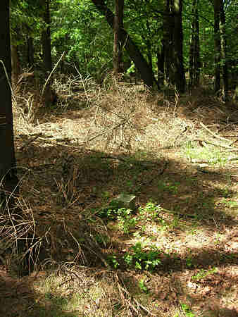 Der Trigonometrische Meβpunkt auf dem Hasselbrack (Harburger Berge) Harburger Berge