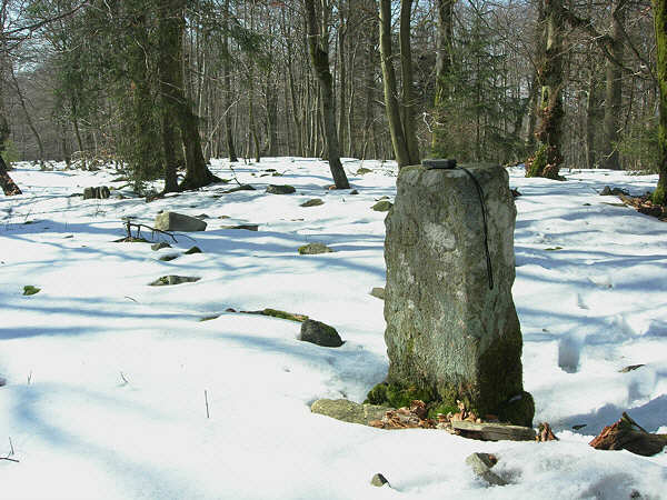 Der Grenzstein vom Dollberg (695 m) Dollberg