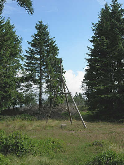 Der Großer Beerberg (982,9 m) am Rennsteig Großer Beerberg