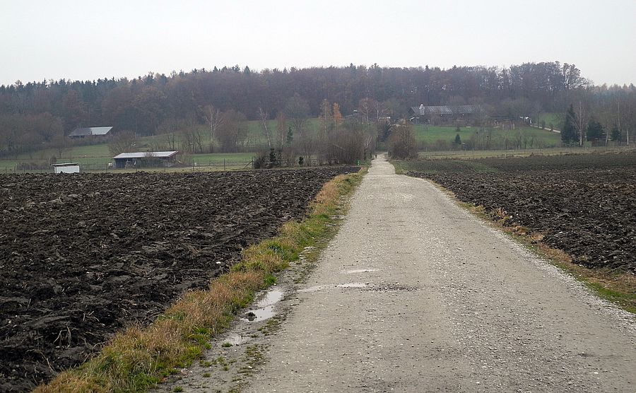 Steingassenberg (630,5 m) von Türkenfeld. Steingassenberg