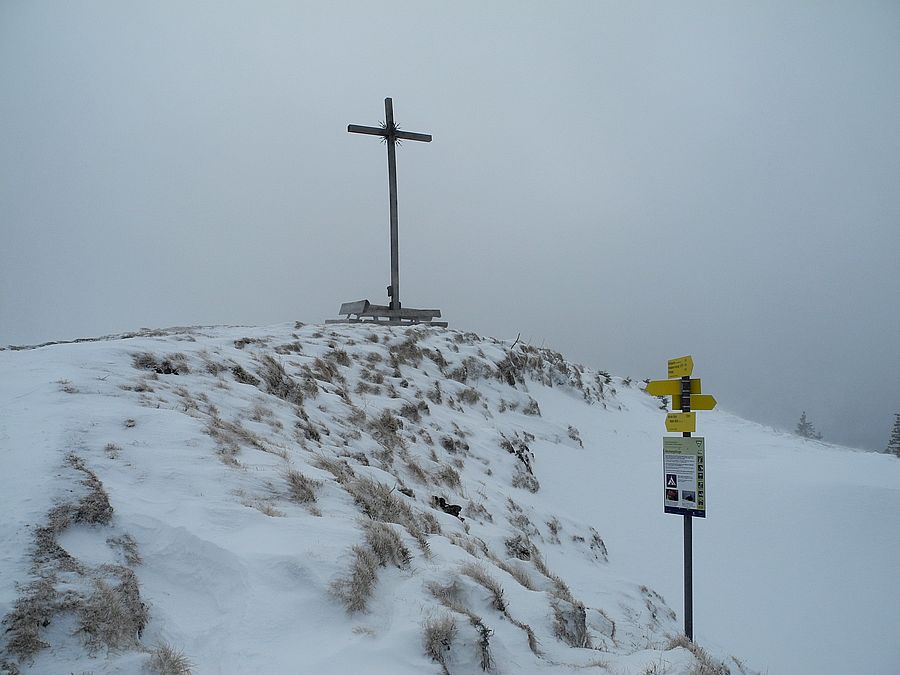 Die Gipfelkuppe der Niederen Bleick (1589 m) von Nordosten. Niedere Bleick
