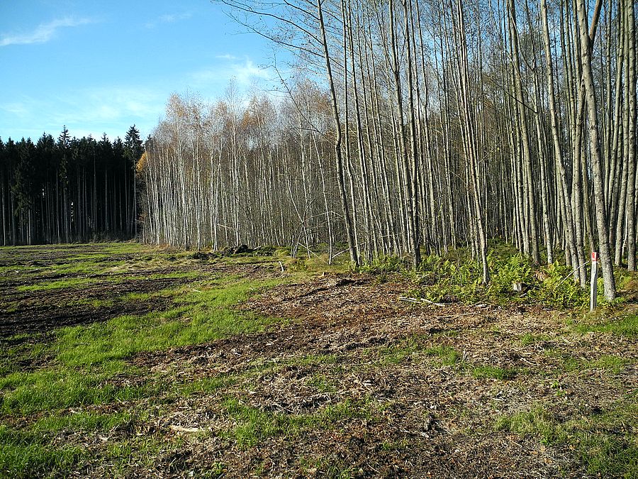 Das Hochholz (476,4 m), die höchste Erhebung im Gebiet der kreisfreien Stadt Rosenheim Hochholz