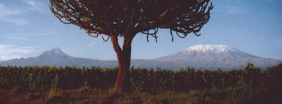 Mawenzi und Kilimanjaro von Norden Kilimanjaro