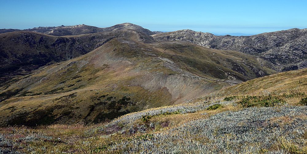 Die unscheinbare Gipfelkuppe des Mount Kosciuszko (2228 m, Bildmitte) vom Main-Range-Track aus Nordosten Das Gipfelzeichen am höchsten Punkt von Australien