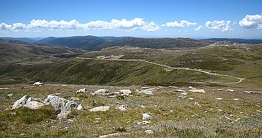 Summit Walk