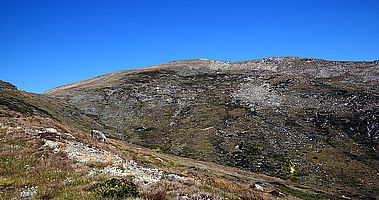 Summit Walk