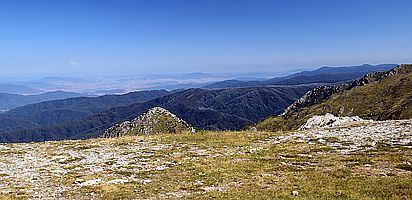 Carruthers Peak