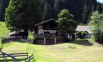 Wirtsalm