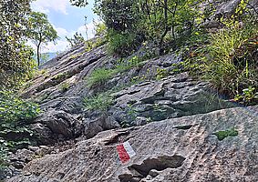 Croce di Ceniga