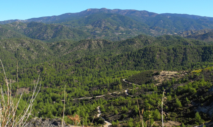 Mount Olympus (1951 m) - der höchste Berg im Troodos-Gebirge Mount Olympus