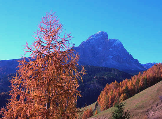 Peitlerkofel