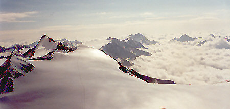 23.07.2000: Blick vom Similaun gegen Hintere Schwärze (3624 m) Gipfelblick