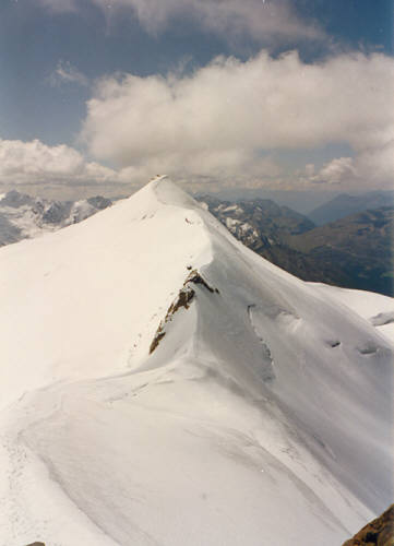 Grat von Hinterer Zufallspitze (3757 m) zum Monte Cevedale (3769 m) Monte Cevedale