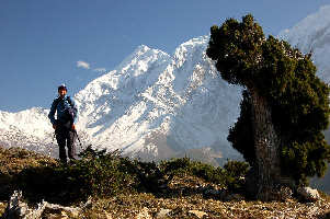 Tilicho Peak