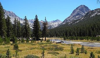 McClure Meadow