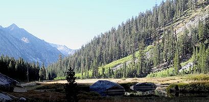 Grouse Meadow