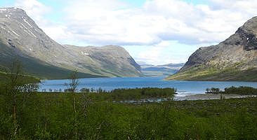 Kaitumjaure