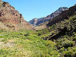 Bright Angel Canyon