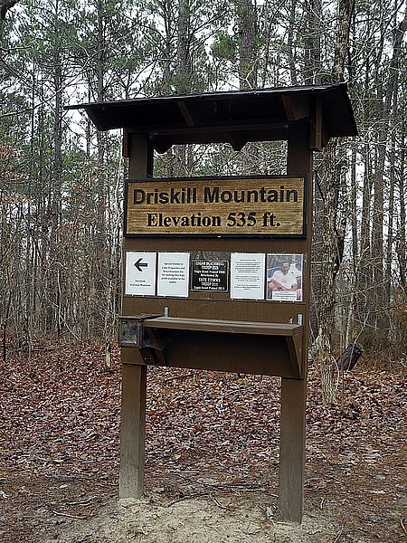 Mount Driskill