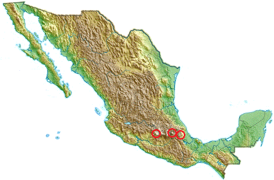 Mexiko Mexiko