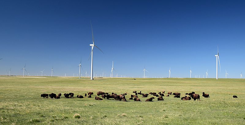 Die Aussicht am Panorama Point: Bisons und Windräder Panorama Point