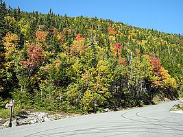Indian Summer während der Auffahrt zum Mount Washington. Indian Summer