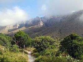 Guadalupe Mountains